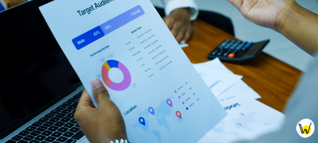 Audience Targeting Strategies