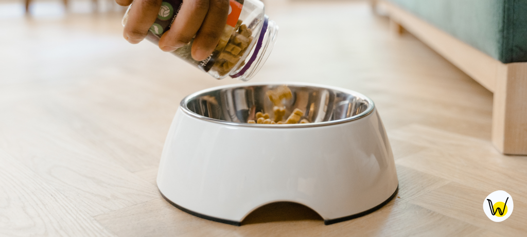 dog-food